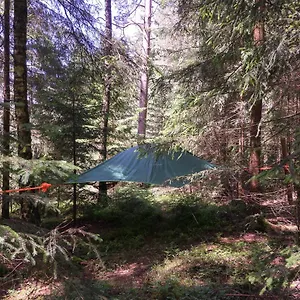 Baumzelt Im Wald Oda ve Kahvaltı